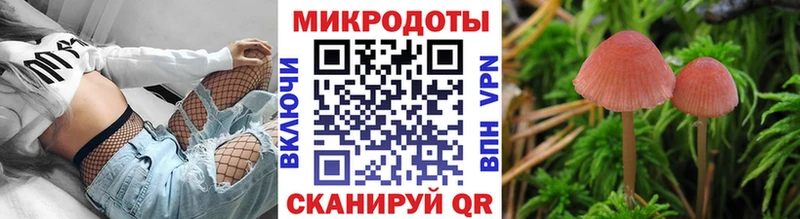 Псилоцибиновые грибы Psilocybine cubensis  Дыгулыбгей 